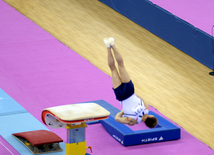 Bakıda idman gimnastikası üzrə Dünya Kuboku yarışlarının ikinci günü start götürüb. Azərbaycan, 20 fevral, 2016